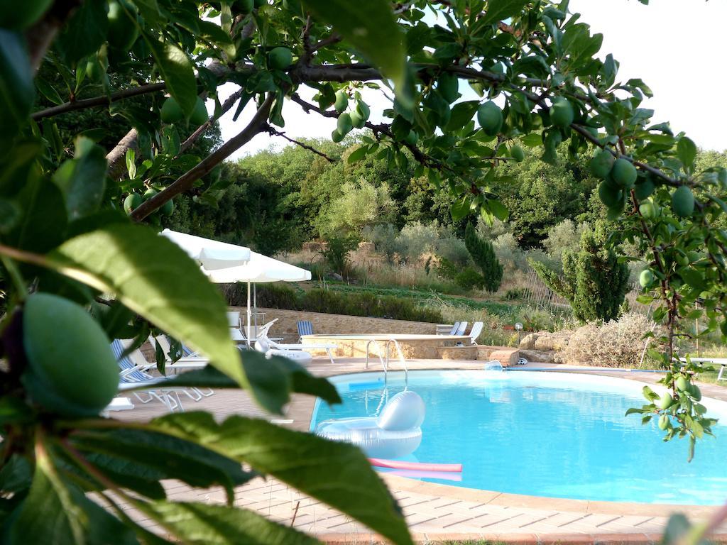 Agriturismo Apparita Montecastelli Pisano Екстер'єр фото