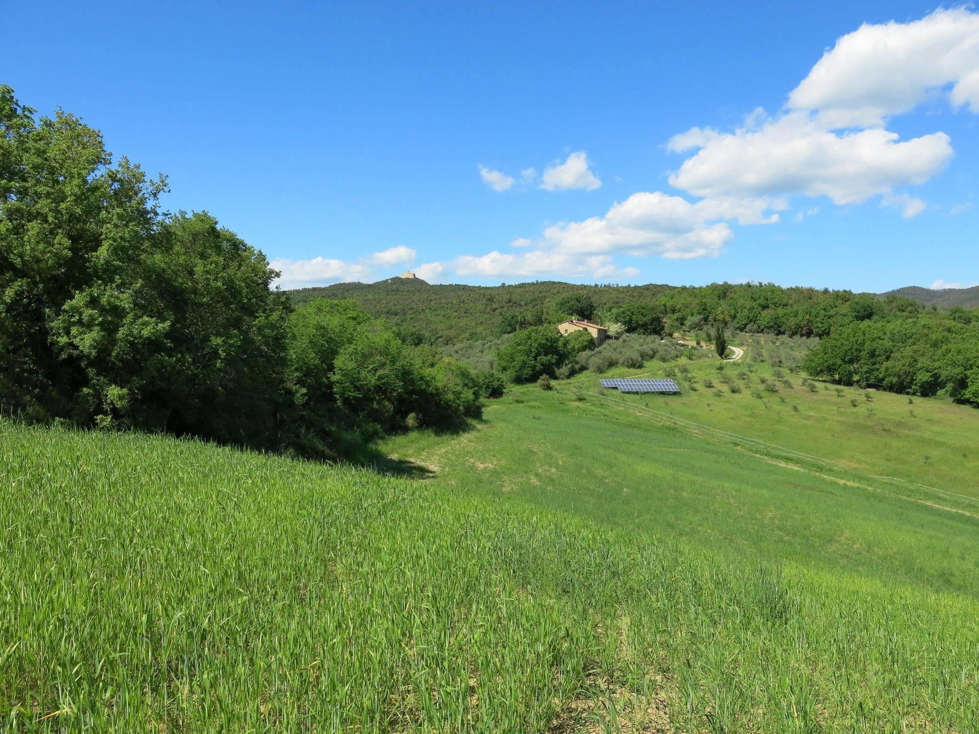 Agriturismo Apparita Montecastelli Pisano Екстер'єр фото